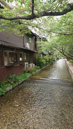 a river running through a lush green forest next to tall brown buildings on either side