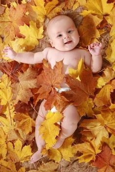 a baby laying on top of leaves in the middle of it's diaper