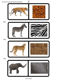 an animal matching game with zebras, elephants and giraffes