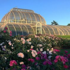 a large glass greenhouse with flowers in the foreground