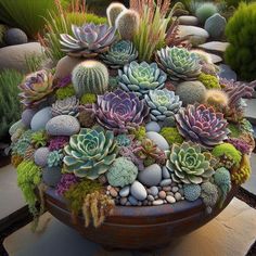 a large pot filled with lots of succulents