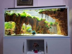 an aquarium is shown in the corner of a room