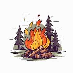 a campfire in the woods with trees around it