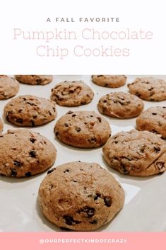 pumpkin chocolate chip cookies on a plate with text overlay that reads, a fall favorite