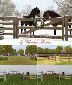 two horses standing next to each other near a fence