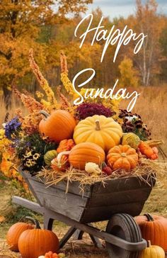 a wheelbarrow filled with lots of pumpkins on top of grass and hay