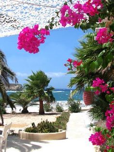 an outdoor area with flowers and palm trees