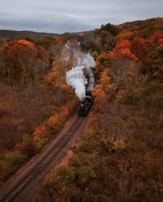 Aesthetic Background Green, Connecticut Fall, Train View, Evermore Aesthetic, Mine Aesthetic, Fall Photography, Background Green, Green Pumpkin