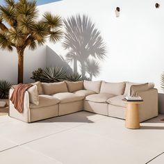 a couch sitting on top of a white floor next to a palm tree and potted plant