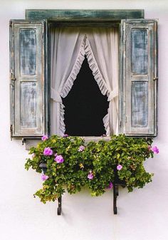 an open window with flowers growing out of it