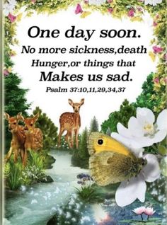 Jw Get Well Quotes, Jehovah's Witnesses Quotes Encouragement Thoughts, Jehovah's Witnesses Humor, Comforting Scripture, Jw Bible