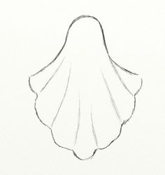 a drawing of a shell on a white paper