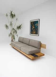 a couch sitting on top of a wooden shelf next to a potted palm tree