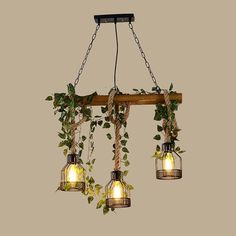 three lights hanging from a wooden beam with ivy growing on them