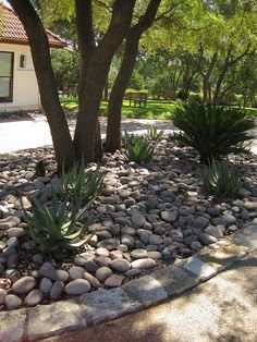 some rocks and plants in front of a house on the side of a road with trees