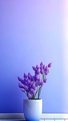 purple flowers in a white vase against a blue wall