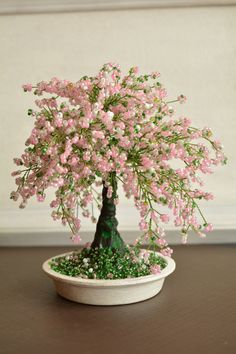 a small bonsai tree with pink flowers in a white bowl on a brown table