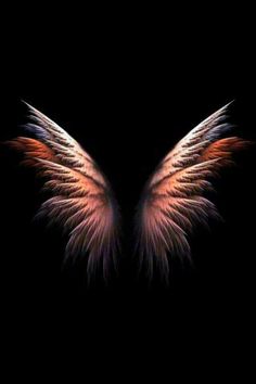 the wings of an angel on a black background