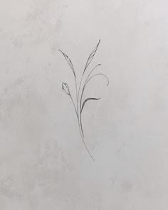 a black and white drawing of a flower on a wall