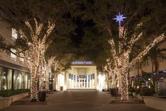 lighted trees line the street in front of a building with lights on it at night