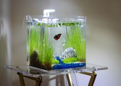 a fish tank with grass and rocks in it on top of a glass table next to a wall