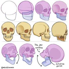 the different types of skulls are shown in this drawing lesson, which shows how to draw them