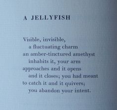 an open book with the words jellyfish written in cursive writing on it