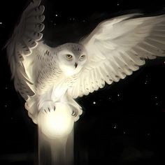 an owl is sitting on top of a lamp post with its wings spread wide open