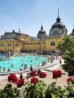 a large swimming pool with people in it and red flowers growing around the poolside