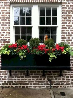 a window box filled with red and green flowers