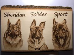 a wooden sign with three german shepherd dogs on it's sides and the words siberian, soldier, sport