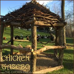 a chicken gazebo made out of branches and logs in the grass with chickens walking around