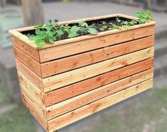 a wooden planter with plants growing in it