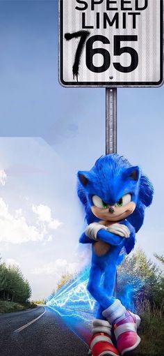 sonic the hedgehog is standing next to a speed limit sign that reads 765