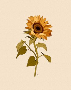 Sunflower Drawing, Sunflower Wallpaper, 수채화 그림, Sunflower Art, Arte Sketchbook, Sunflower Print, A Drawing, الرسومات اللطيفة, Pretty Art