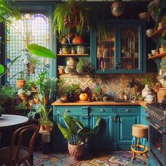 a kitchen filled with lots of potted plants