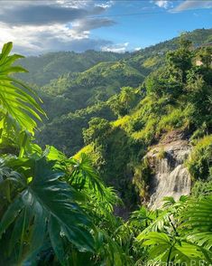 a waterfall surrounded by lush green trees on a sunny day