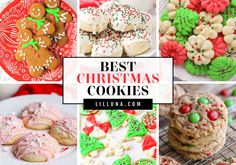 85+ BEST Christmas Cookies Top Christmas Cookies, Mexican Christmas Food, Italian Christmas Dinner, Christmas Sugar Cookie Recipe, Spritz Cookie Recipe, Snowball Cookie Recipe, Shortbread Cookies Easy, Italian Christmas Cookies, Christmas Side Dishes