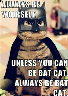 a cat wearing a batman costume sitting on top of a bed with caption that reads, always be yourself unless you can't be bat