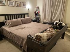 two dogs are sleeping in a bed with their owners on the other side and one dog is laying down