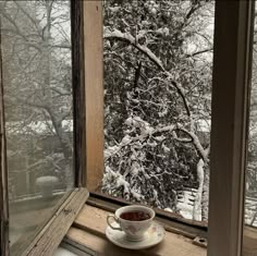 a cup and saucer sitting on a window sill in front of snow covered trees