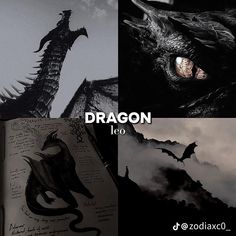 an image of a book with the title dragon on it and pictures of other books