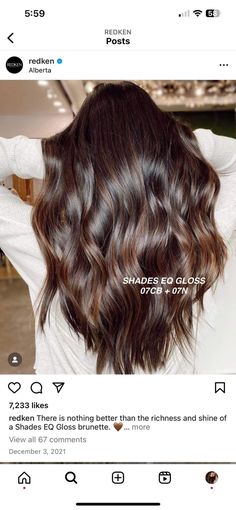 Brassy Hair, Hair Toner, Brown Hair Inspo, Hair Techniques, Brown Hair Balayage, Hair Color Techniques