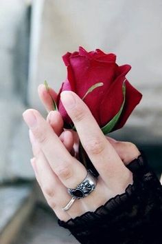 a person holding a rose in their hand with the caption'terna kasih pada seseoranang '