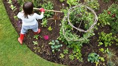 there are many different pictures of plants in the garden and one is holding a stick