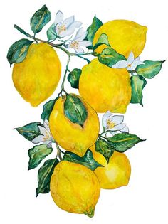 a painting of lemons with leaves and flowers