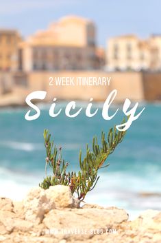 the beach with text overlay reading 2 week itinerary, sievly