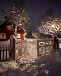 a snow covered driveway with a fence and trees in front of the house at night