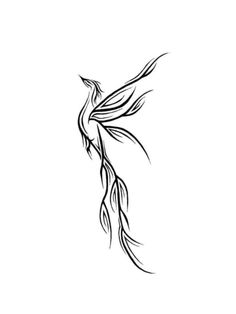 a black and white drawing of a bird with long, thin wings on it's back