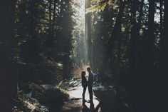 a man and woman standing in the middle of a forest with sunlight streaming through them